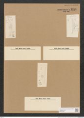 Diatomeae indet. (de-Toni-Nr.: Species 1581 ?) Zeichnungen Sammlung Grunow Nr. 3256 (NHMW-BOT-W0370733)